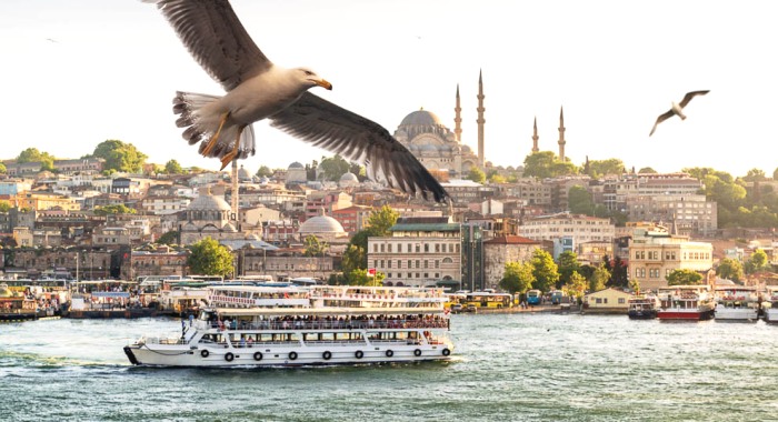 Многоликая и богатая культура Стамбула